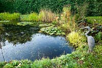 Naturalistic pond surrounded by ligularias, sedges, eupatoriums and grasses, guarded by a chicken wire heron. Norwell Nurseries, Norwell, Notts, UK