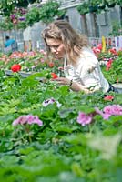 Katarina Brandt of Ludic Landscapes visiting the nursery at Heerde to select pelargoniums for her garden '101 Pelargoniums' at the gardenfestival of Chaumont sur Loire.