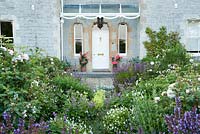 Front garden planted with sage, rosemary, Stachys byzantina 'Silver Carpet', white Viola cornuta, hardy geraniums and Rosa 'Stanwell Perpetual'