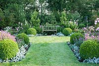 White metal bench in the formal garden with clipped box balls, Stachys byzantina 'Silver Carpet', Erysimum 'Bowles Mauve', Geranium 'Patricia', campanulas and roses.