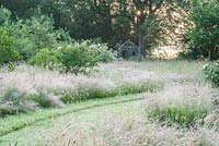 Mown paths through long meadow grass