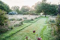 Meadow with mown paths, species shrub roses and Quercus coccinea