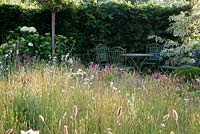 Wildflower garden with table and chairs next to Cornus controversa 'Variegata' - Urban Oasis, RHS Hampton Court Flower Show 2015