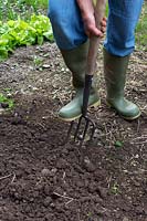 Forking vegetable patch to prepare soil