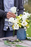 Woman creating a Floral display of Tulipa 'Swan Wings', Cheiranthus cheiri 'Ivory White' and white spring blossom