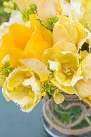 Floral display of Tulipa 'Sunny Boy', Tulipa 'Creme Lizard', Tulipa 'Golden Apeldoorn' and Cheiranthus cheiri 'Ivory White' in glass vase