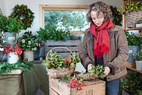 Gabbi Reid making a Christmas Wreath in her studio at Gabbi's Garden.