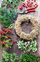 Wreath frame covered in moss with tools and foliage and berries laid out on a table ready to construct Christmas wreath.  Gabbi's Garden. December.