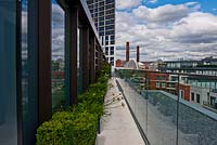 Contemporary roof garden, Chelsea Creek London 