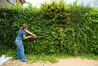 Woman using electrical hedge clippers