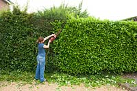 Woman using electrical hedge clippers 
