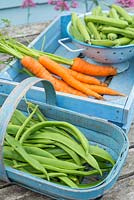 Garden produce ready for the kitchen, runner beans, carrots and broad beans.