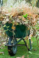 A wheel barrow overflowing with prunings.