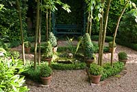 Birch grove encircles a small pond which is surrounded by Box hedging. The grove is enclosed by a laurel hedge.