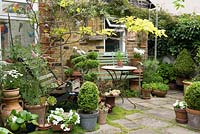 Pots of clipped box, white Petunias, Lilium Regale, and succulents embellish the patio, with drifts of Mind-your-own-business, Soleirolia, in the paving.