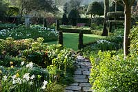 Jim and Sarah's garden. Plants include Narcissus Poeticus, Hellebores and Euphorbia