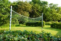 Badminton net enclosed by Fagus - beech hedge. Heveningham, June