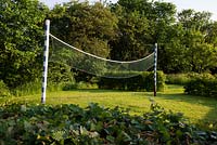 Badminton net enclosed by Fagus - beech hedge in evening light. Heveningham, June