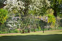 Laburnum and Wisteria Tunnel along the side of the tennis court. The Court, North Ferriby, Yorkshire, UK. Spring, May 2015.