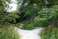 White stone gravel path leads towards bronzed mirror set in hornbeam hedge. Naturalistic shade-tolerant perennial planting with rocks and multi-stemmed tree. A Different Point of View Sponsor: Queen Elizabeth's Foundation for Disabled People  G