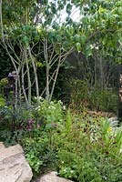 Bronzed and aged mirror set in hornbeam hedge provide reflective space in shady garden with rocks and shade tolerant perennials and multi-stemmed tree. A Different Point of View 