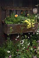 Colourful wooden window box