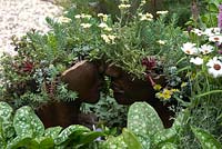 Kissing head plant containers