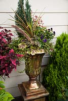 Brass container with Dracaena, Viola, Heuchera 'Solar Flair', Muehlenbeckia, Cupressus sempervirens 'Tiny Towers' 