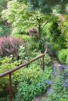 Path with handrail leading through garden with evergreen shrubs including Rhododendron, Berberi, Geranium in foreground