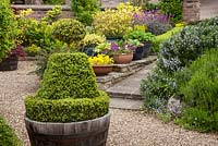 Topiary box in a pot as a focal point on a path