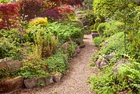 Rock garden with Acers under planted with ferns, hardy geranium and Polygonatum