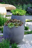 Grey containers planted with succulents - Living Landscapes: Healing Urban Garden, RHS Hampton Court Palace Flower Show 2015