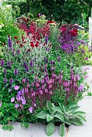 Red, blue and purple planting - Just Retirement Garden, RHS Hampton Court Palace Flower show 2015