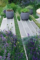 Grey stone pathway interplanted with lines of thyme. Pots of succulents and borders planted with lavender and ornamental grasses