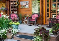 Seating on veranda of wooden cabin style house.  Pots line steps.  Planting includes, Scaevola, Coleus x hybridus cv, Ipomoea, Petunia, Senecio cineraria, Lobelia, Miscanthus, Epipremnum, Schlumbergera 