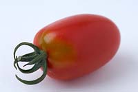 Tomato with green shoulder disorder