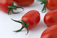 Solanum lycopersicum 'Dasher' - plum tomatoes