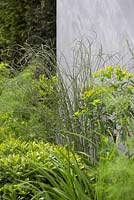 Euphorbia wallichii, Pittosporum tobira nanum, Taxus baccata and ornamental grass - The Scotty's Little Soldiers Garden, RHS Hampton Court Palace Flower Show 2015 