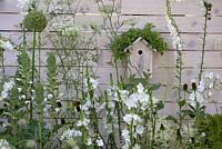 Bird box with green rooftop planting of sedum on white wooden fence surrounded by white planting scheme. Living Landscapes: City Twitchers. RHS Hampton Court Flower Show 2015 