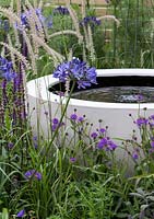 The Wellbeing of Women Garden - small pond, planting of Salvia nemorosa 'Caradonna', Pennisetum orientale 'Tall Tails', Agapanthus africanus 'Midnight Star', 'Verbena rigida - Designed by Wendy von Buren, Claire Moreno, Amy Robertson - Sponsors Tattersall Landscapes, London Stone, Jacksons Fencing, Hedgeworx, Tactile Studios - RHS Hampton Court Flower Show 2015 - awarded Silver gilt