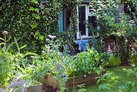 Vegetable beds in summer with garden shed