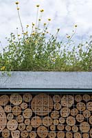 Bug Hotel Fencing with Birdsfoot-trefoil and Yellow Chamomile growing above.