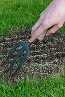 Restoring a damaged lawn step by step - Use a trowel to rake grass seed into  drills.