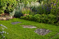 Chamaemelum nobile 'Treneague' - Chamomile lawn with stone path stepping stones 