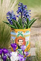 Hyacinthus 'Peter' in an old tin. Mixed Dutch crocuses planted in front.