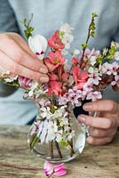 Blossom posie step by step in March: Pink cherry blossom is placed first, followed by white blackthorn blossom and stems of Japanese flowering quince. Then pink and white cyclamen are added.