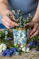 Blue and white posie step by step in April: White heather is trimmed to length and placed in an old tea tin.