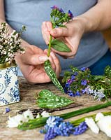 Blue and white posie step by step in April: Leaves are stripped from Lungwort and placed next to the rosemary and white heather in an old tea tin.