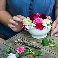 Container grown posie step by step in July: Add dahlias to the white and pink verbena around the outside of the container, filling in gaps to create a dome of flowers.