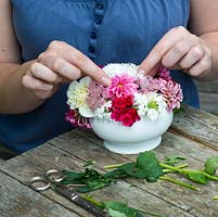 Container grown posie step by step in July: Finish by adding white asters to the dome of pimpinella, dahlias and white or pink trailing verbena.